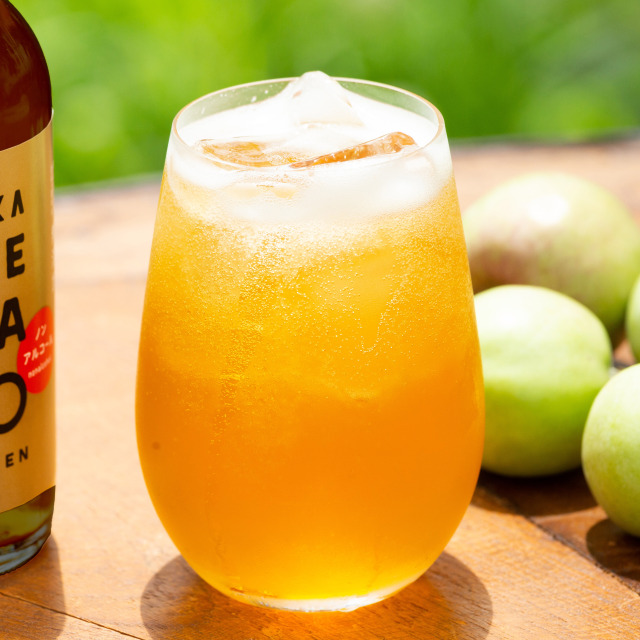 りんごを楽しむ6種類飲み比べセット 国産シードル 摘果りんごや希少