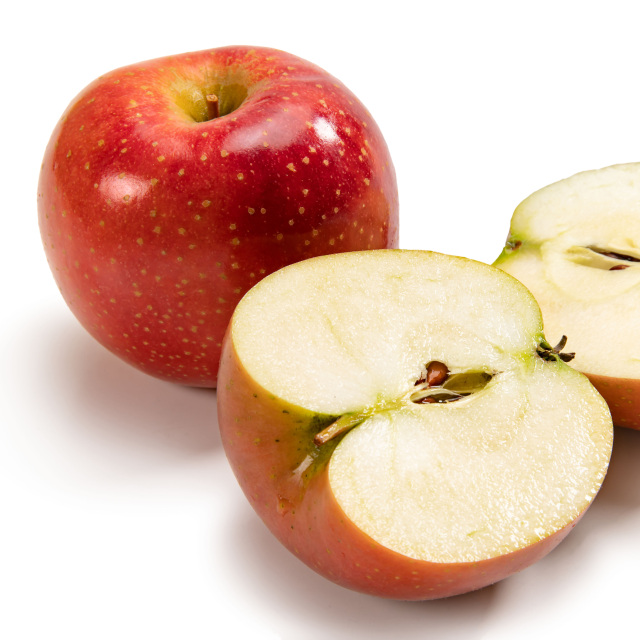 【送料込】良品 千雪(ちゆき)