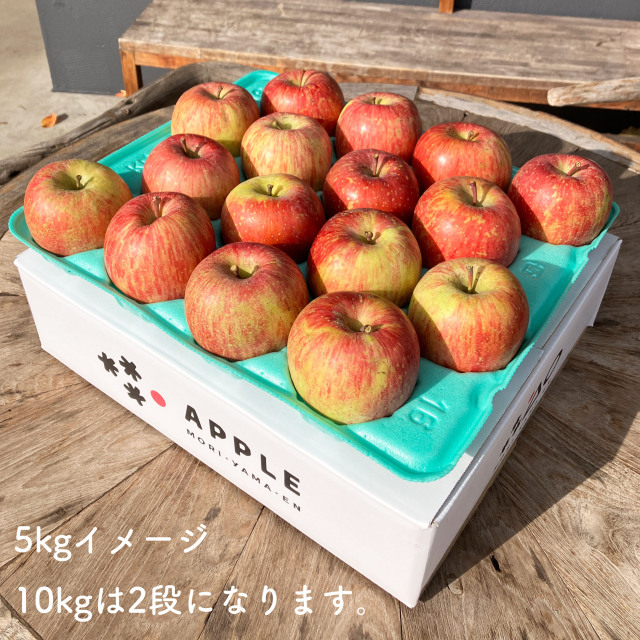 岩手県産減農薬葉とらず三島系サンフジりんご6kg 訳ありご家庭用 サンふじ 葉とらず栽培 減農薬 特別栽培認証取得