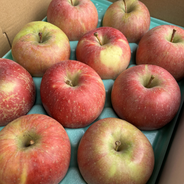 【送料込】訳ありご家庭用 北斗 3kg