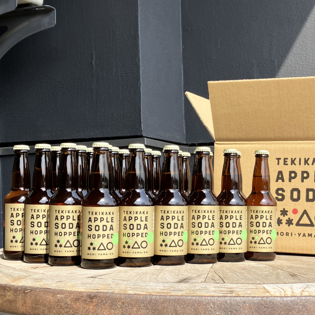 【送料無料】テキカカアップルソーダ ホップド24本入