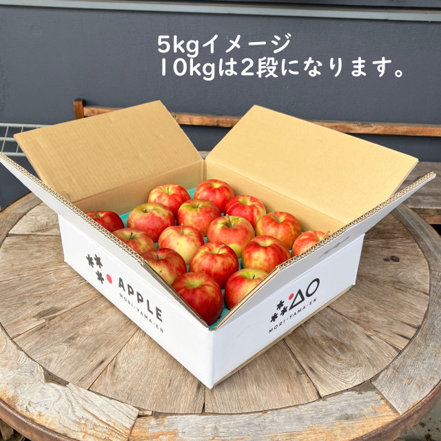 ご家庭用 ジョナゴールド 葉とらずりんご