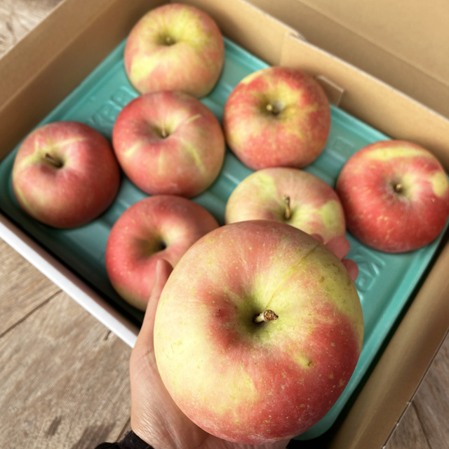 数量限定【送料込】訳あり大玉りんご3kg