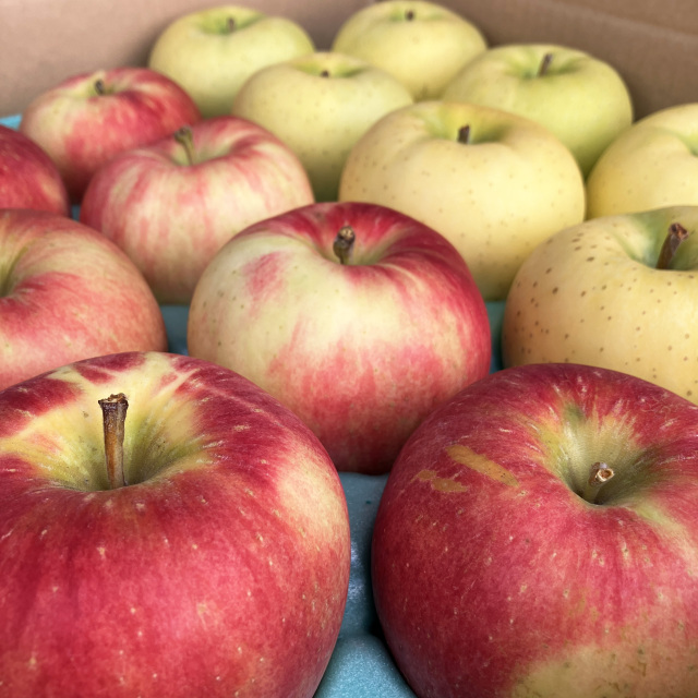 特別栽培りんご2種類食べ比べセット キズなし良品だからギフトや