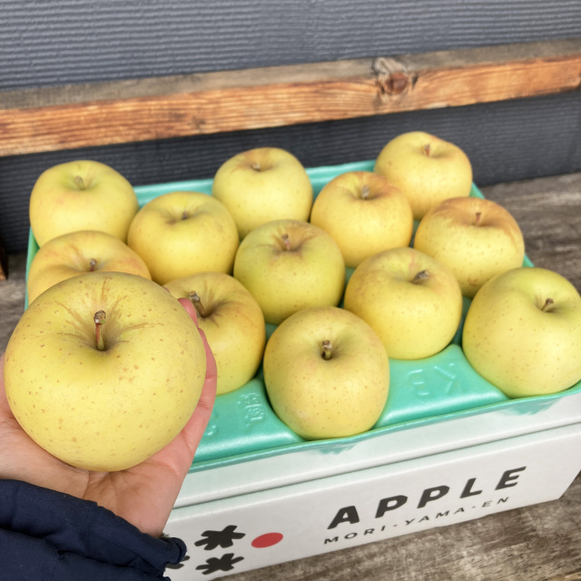 【送料込】訳ありご家庭用 はるか3kg