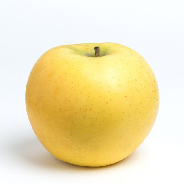 【送料込】シナノゴールド