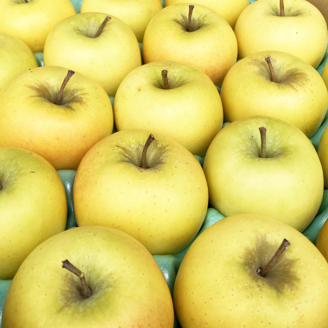 【送料込】シナノゴールド　良品/家庭用ミックス