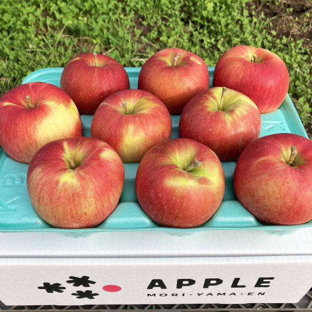 【送料込】良品 シナノスイート