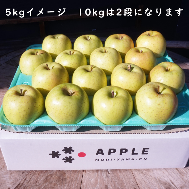 特別栽培りんご 王林 キズなし良品 化学肥料不使用 葉とらず栽培