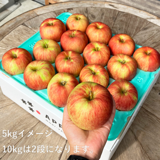 氷温冷蔵　　葉とらず栽培ふじ　　特大サイズ５kg 葉とらずサンふじ 5kg りんご リンゴ 送料込み : 郵便局物販