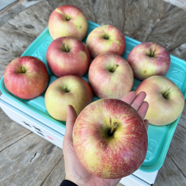 【送料込】訳ありご家庭用 ほのか