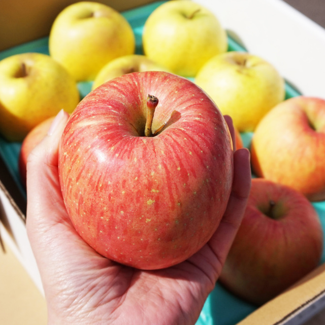 【送料込】スマフレ良品 ふじ・王林詰合せ