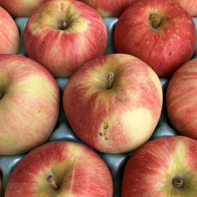 【送料込】訳ありご家庭用 未希ライフ