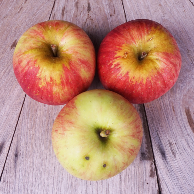 【クール代・送料込】訳ありご家庭用 つがる