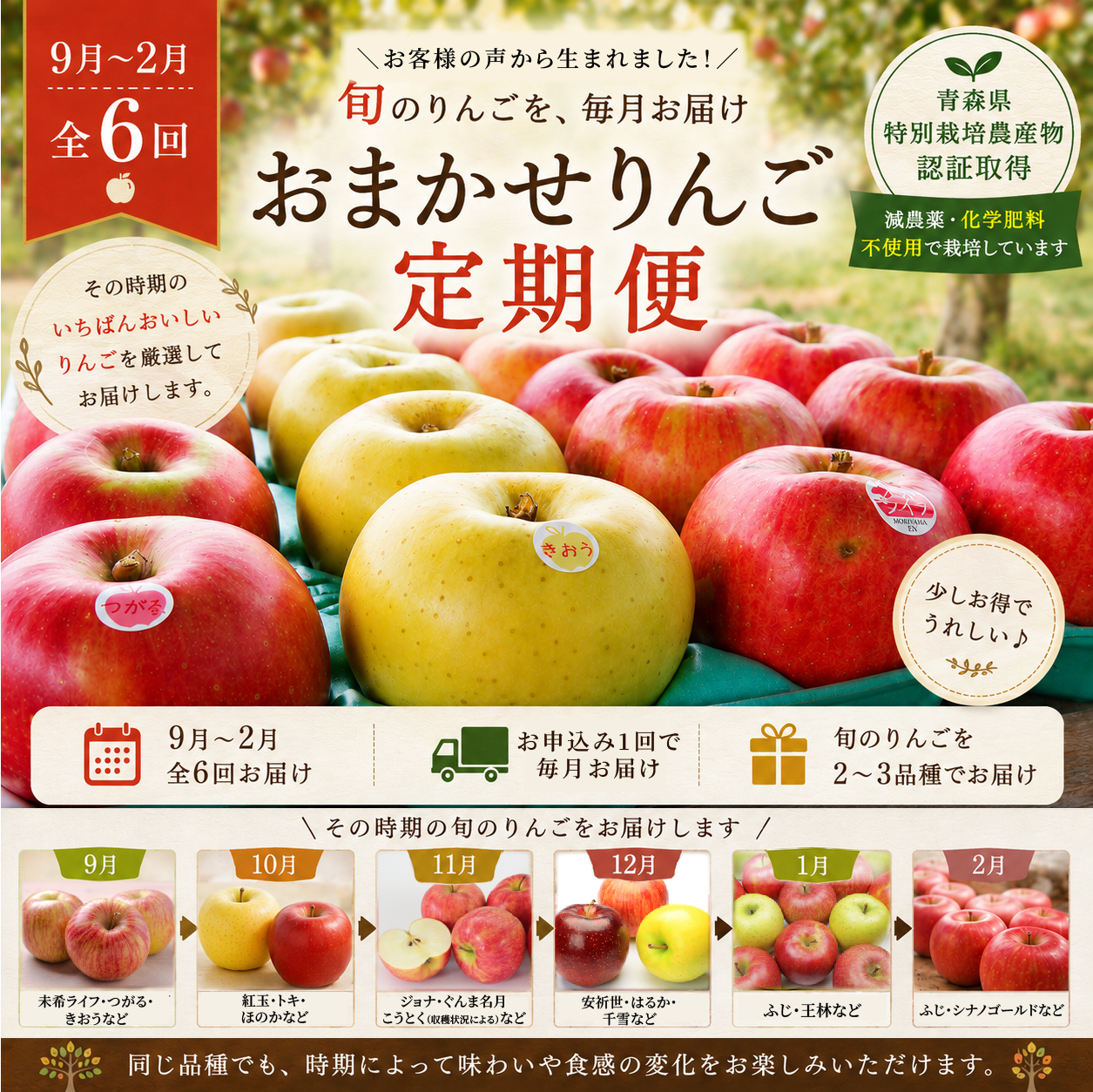 【会員限定】6回分送料込 おまかせりんご定期便