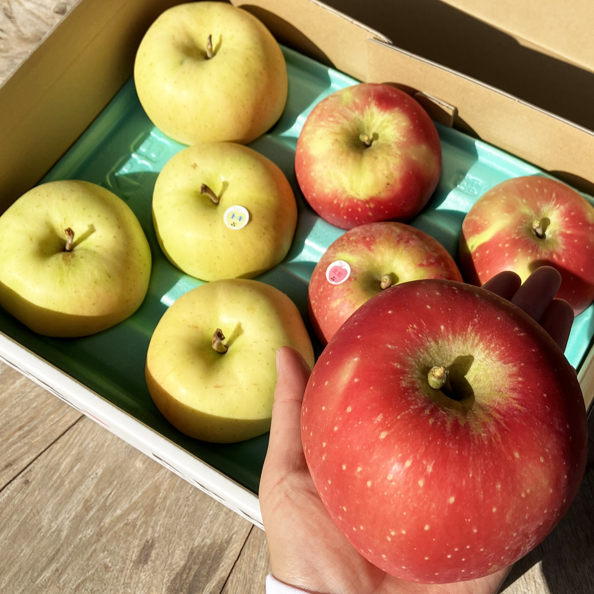 【送料込】訳あり大玉りんご2種類詰合せ3kg