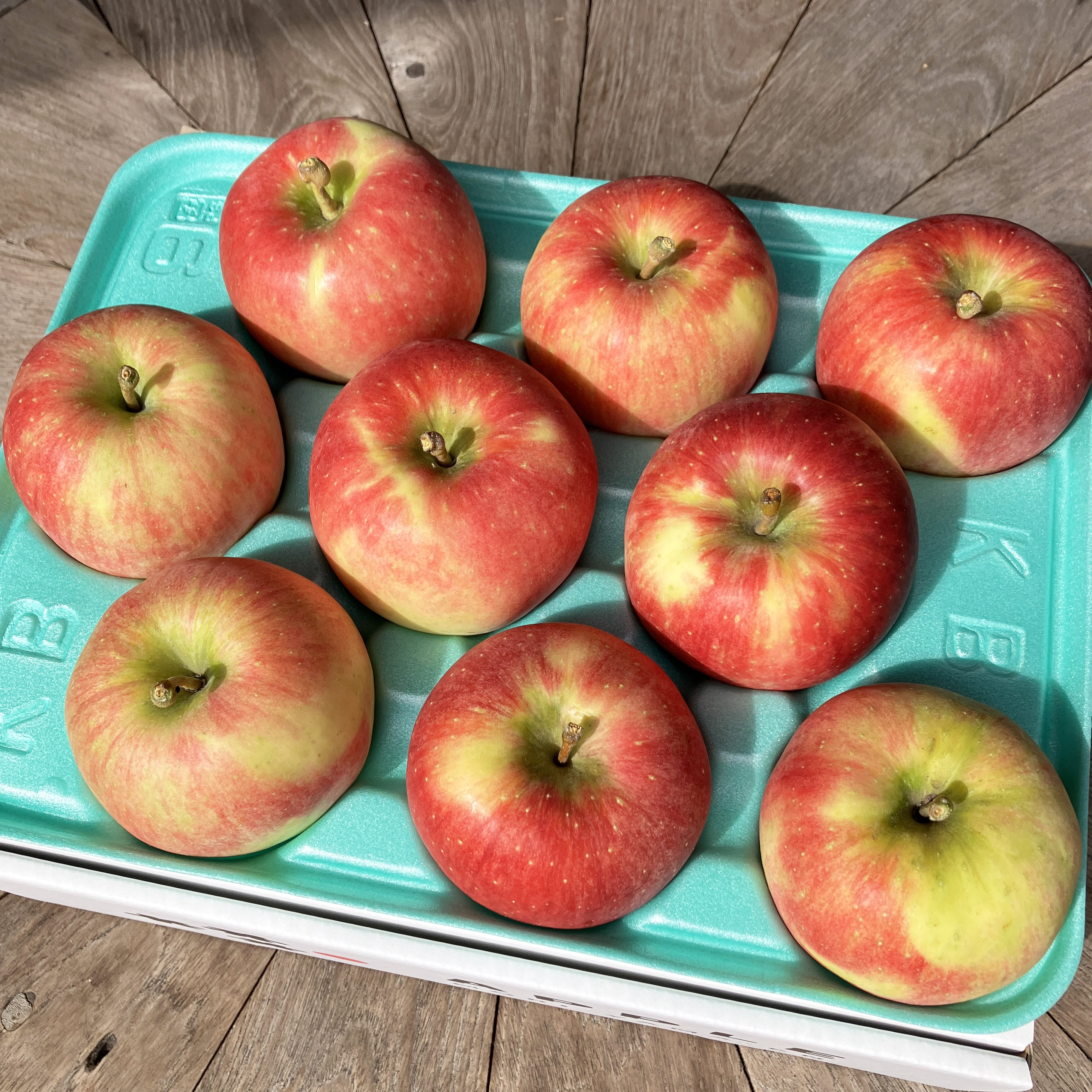 【送料込】良品 千秋（せんしゅう）3kg