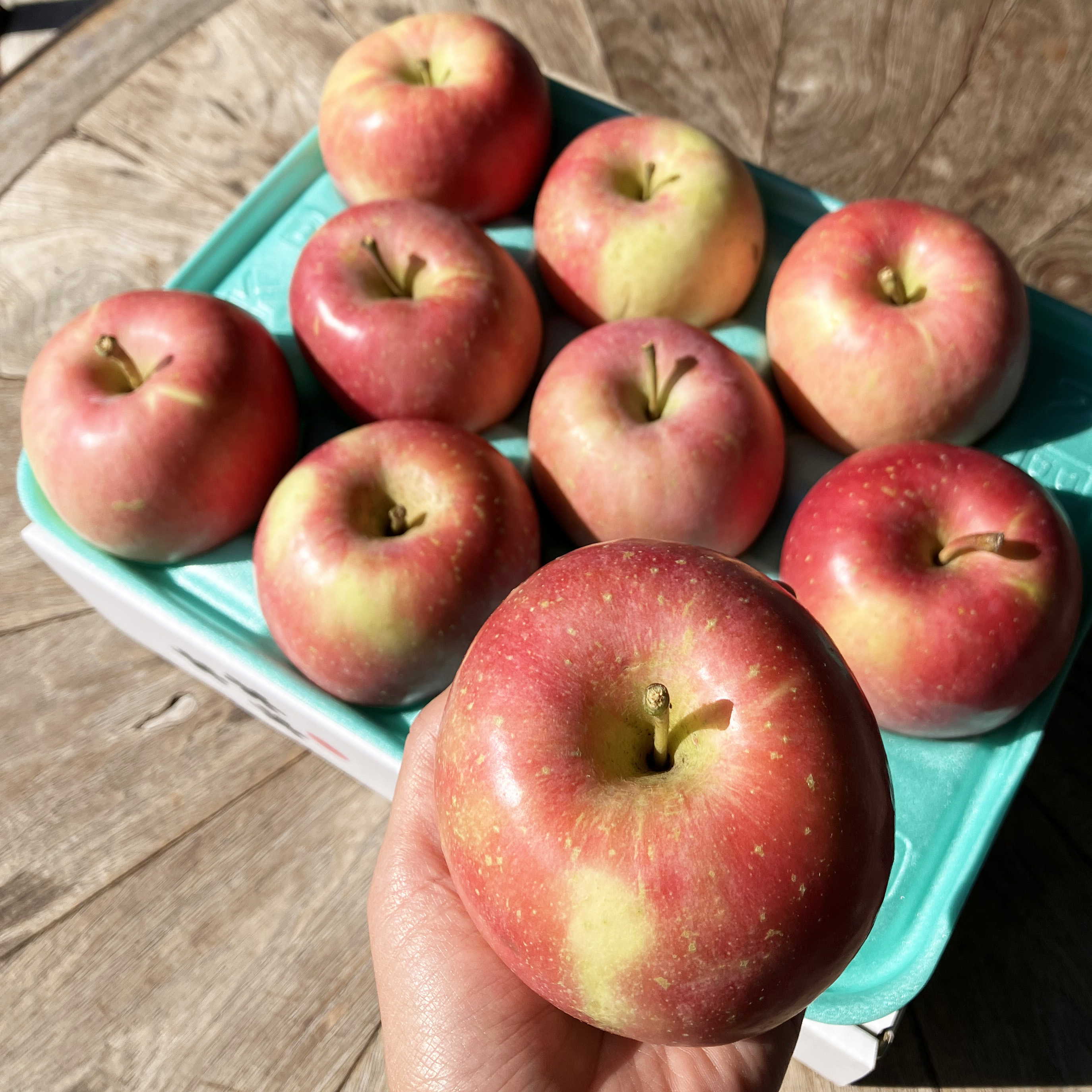 【送料込】特選 ほのか 3kg～10kg