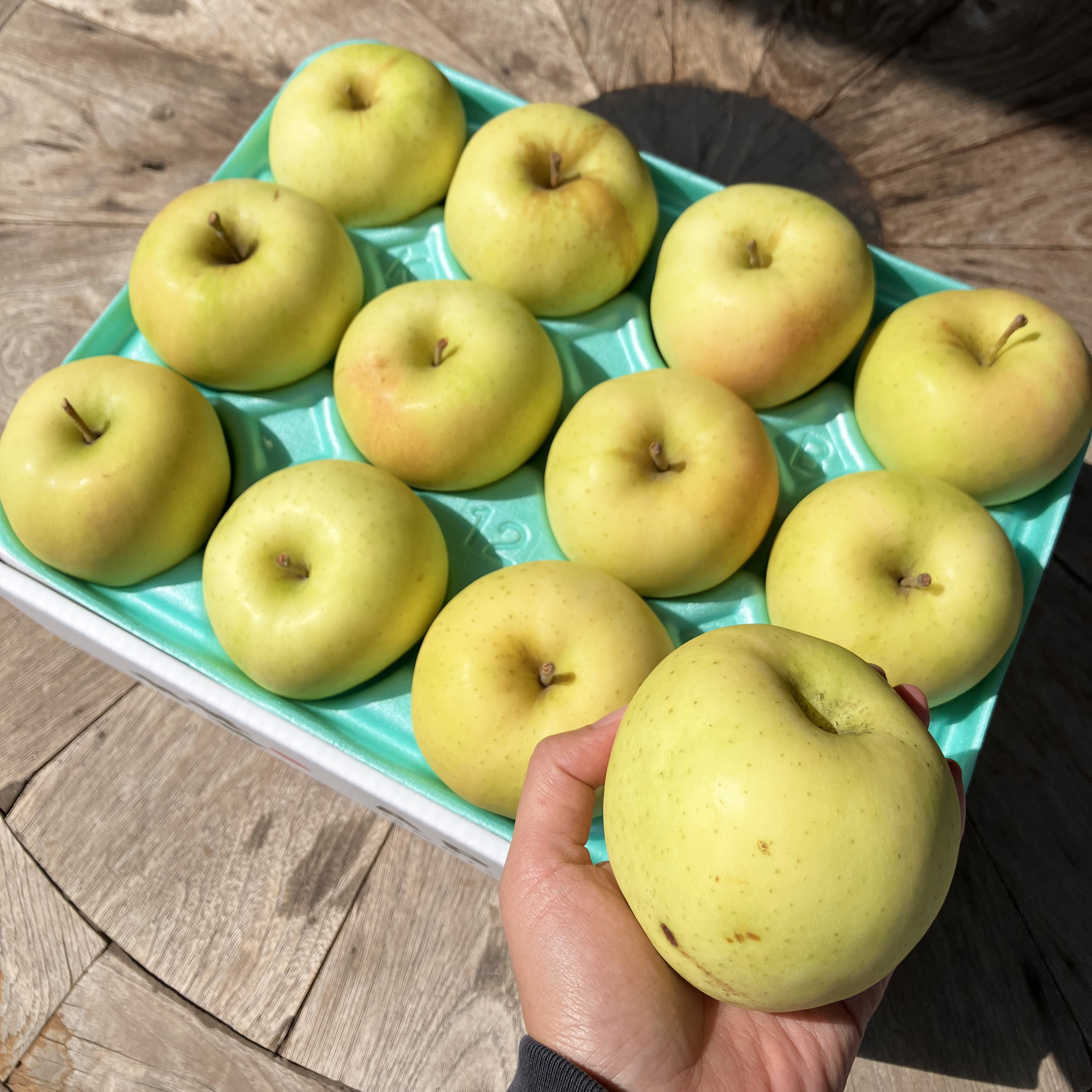 今だけ10%OFF【送料込】訳ありご家庭用 トキ