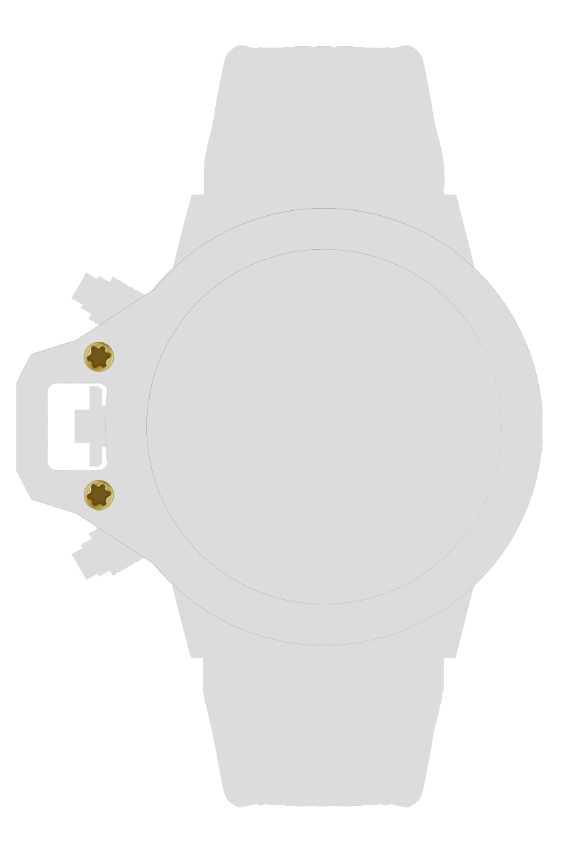 ネジＬ　ｘ２個　ゴールド[SCSZL-YG]