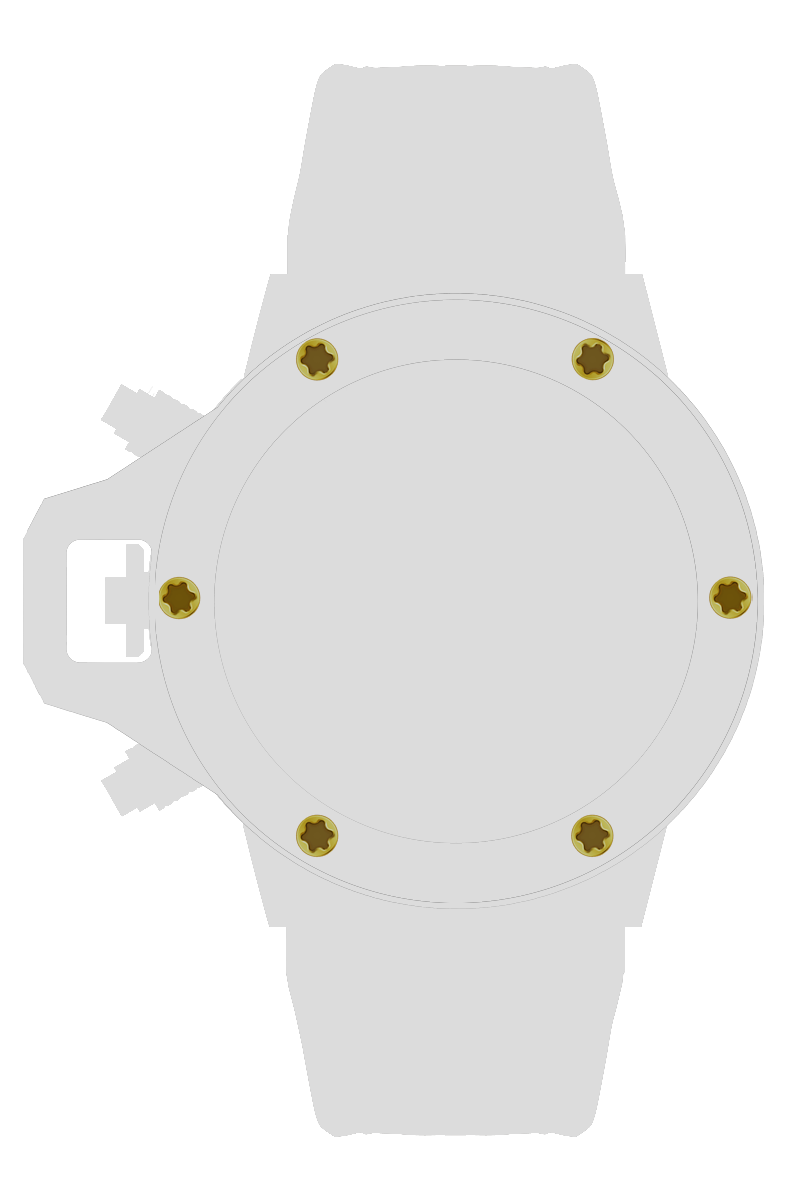 ネジＭ　ｘ６個　ゴールド[SCSZM-YG]