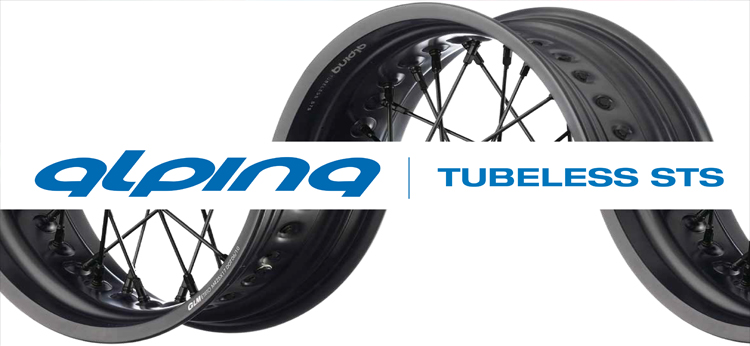 alpina アルピナチューブレスホイール