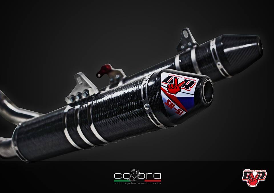 DVR ツインカーボンエキゾーストフルシステム