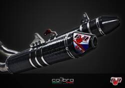 DVR ツインカーボンエキゾーストフルシステム