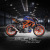 Bagoros performance バゴロスパフォーマンス デカールフルキット THE EPIC KTM DUKE 125 / 200 / 250 / 390