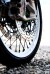 （前後セット・STS2 鍛造リム） alpina チューブレスホイール Triumph Tiger 900用