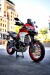 （前後セット・STS2 鍛造リム） alpina チューブレスホイール Ducati　Multistrada 950用