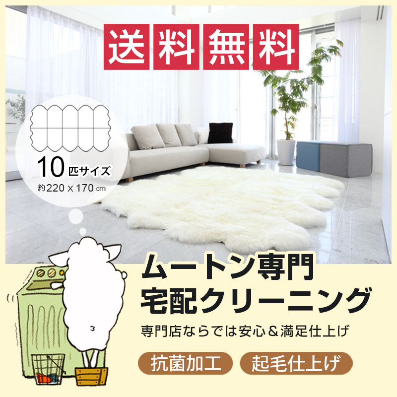 クリーニング10匹サイズ