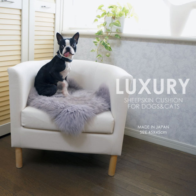 ペット用 ムートンクッション 40x40cm 日本製 防ダニ 抗菌