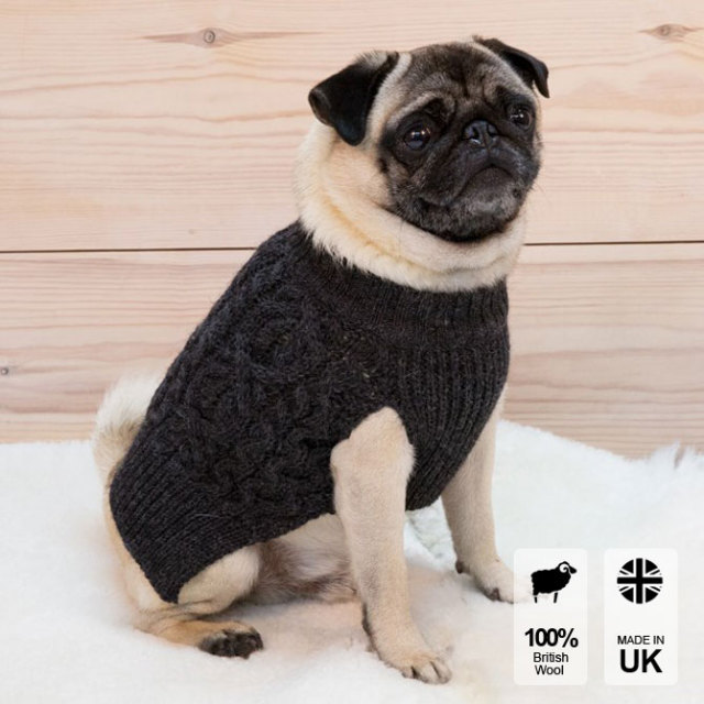 dog jumper