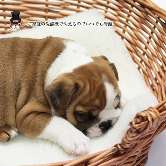 Celtic ペット クッション ムートン 70x40cm Medium ベッドマット 小型犬 英国製