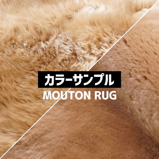 カラーサンプル