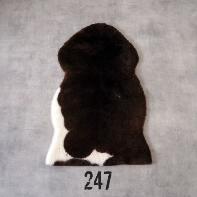 spotty247