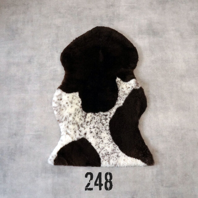 spotty648
