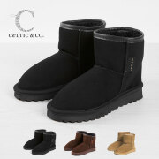 クラシックショーティー24aw