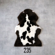 spotty#235