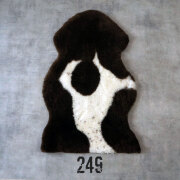 spotty249