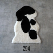 spotty254