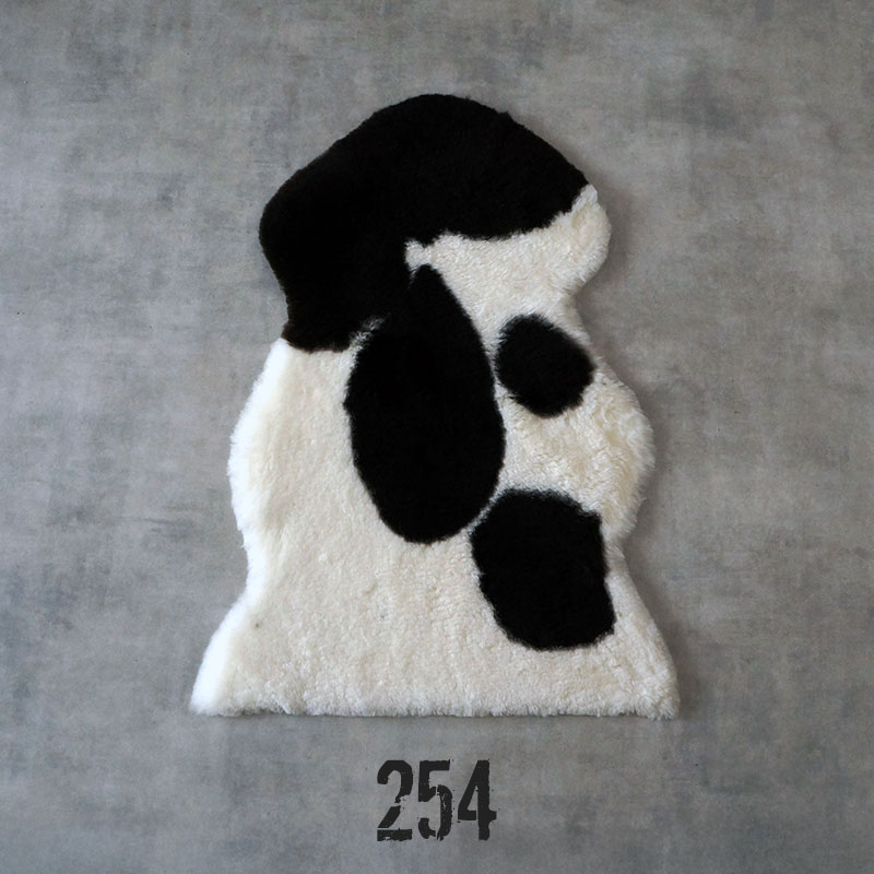 spotty254