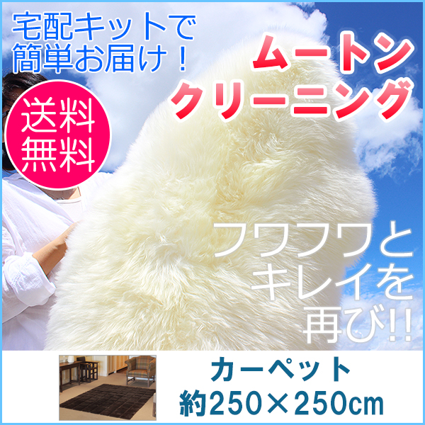 ムートンクリーニング ムートンカーペット　約250×250cm