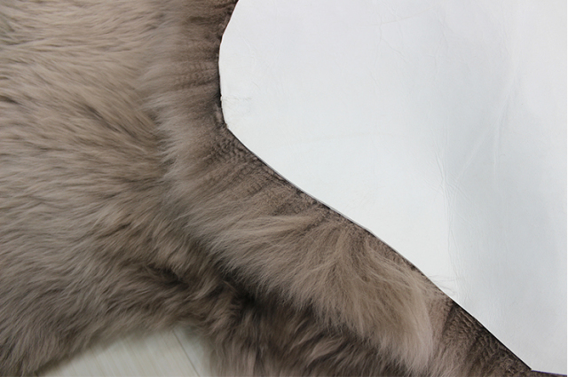 限定フリース　トープ1匹物