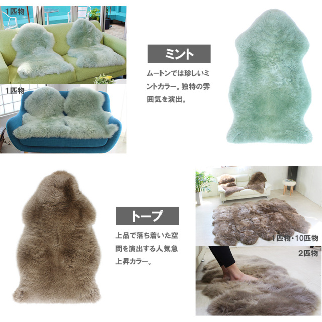 ファーストカラー