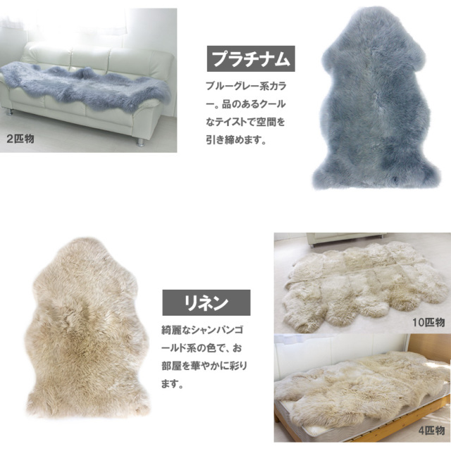 ファーストカラー