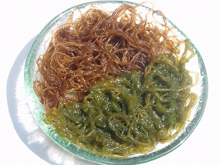 採れたて活モズク 【500g】 | もずく通販ならイトサン