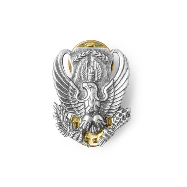 実物 新品 米空軍 インシグニア INSIGNIA, B.O.S., ROTC
