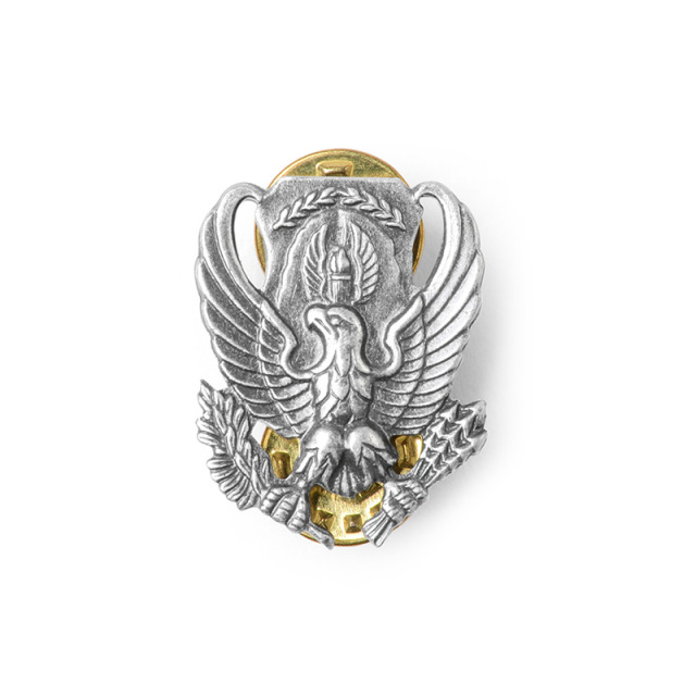 実物 新品 米空軍 インシグニア INSIGNIA, B.O.S., ROTC